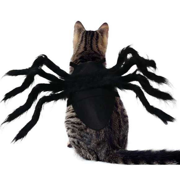 DOG/CAT HALLOWEEN SPIDER COSTUME - Picture 2 of 4